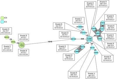 Genomic Analysis of Carbapenem-Resistant Acinetobacter baumannii Isolates Belonging to Major Endemic Clones in South America